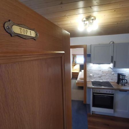 Appartment Sonnenkogel Хольцгау Экстерьер фото